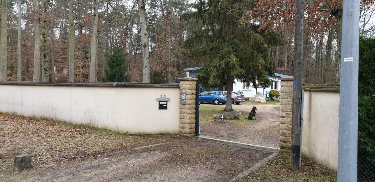 Etape Foret Fontainebleau Climb & Randonnees Arbonne Exterior foto