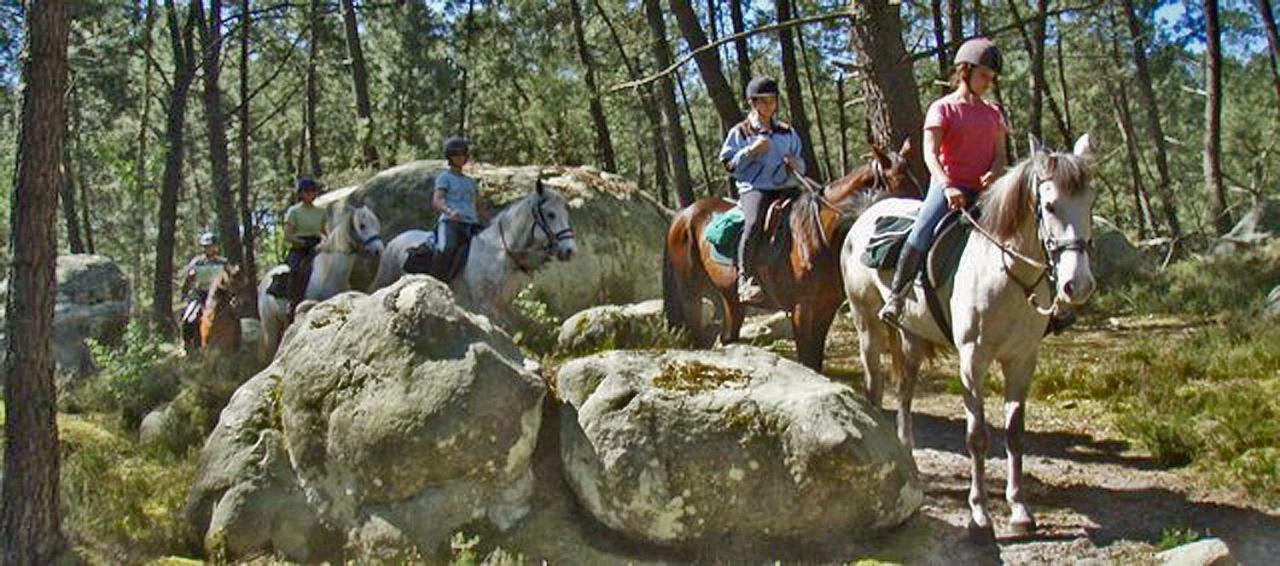 Etape Foret Fontainebleau Climb & Randonnees Arbonne Exterior foto